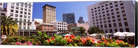 Framed Buildings in a city, Union Square, San Francisco, California, USA Print