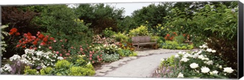 Framed Bench in a garden, Olbrich Botanical Gardens, Madison, Wisconsin, USA Print