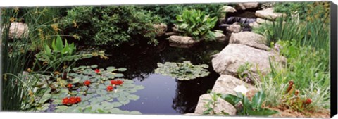 Framed Sunken Garden, Olbrich Botanical Gardens, Madison, Wisconsin Print