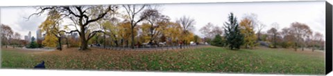 Framed Horse and carriages in a park, Central Park, Manhattan, New York City, New York State, USA Print