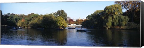 Framed Lake in a park, Central Park, Manhattan, New York City, New York State, USA Print