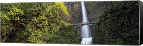 Framed Waterfall in a forest, Multnomah Falls, Columbia River Gorge, Portland, Multnomah County, Oregon, USA Print