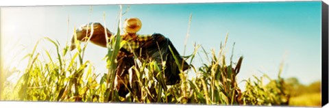 Framed Scarecrow in a corn field, Queens County Farm, Queens, New York City, New York State, USA Print