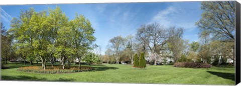 Framed Tulips withTrees at Sherwood Gardens, Baltimore, Maryland, USA Print