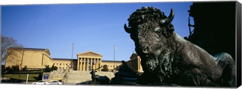 Framed Sculpture of a buffalo with a museum in the background, Philadelphia Museum Of Art, Philadelphia, Pennsylvania, USA Print