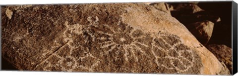 Framed Close-up of petroglyphs on a rock, Saguaro National Park, Tucson, Arizona, USA Print