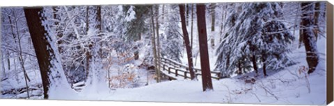 Framed Winter footbridge Cleveland Metro Parks, Cleveland OH USA Print