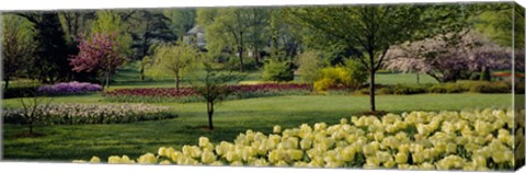 Framed Sherwood Gardens, Baltimore, Maryland Print