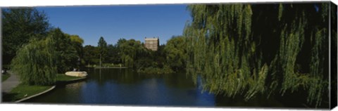 Framed Boston Public Garden, Boston, Massachusetts Print