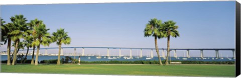 Framed Palm trees on the coast with bridge in the background, Coronado Bay Bridge, San Diego, San Diego County, California, USA Print