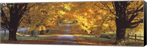 Framed Road, Baltimore County, Maryland, USA Print