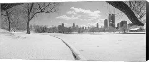 Framed Buildings in a city, Lincoln Park, Chicago, Illinois, USA Print