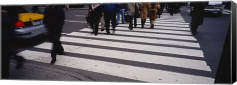 Framed Group of people crossing at a zebra crossing, New York City, New York State, USA Print