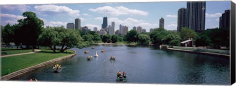 Framed High angle view of a group of people on a paddle boat in a lake, Lincoln Park, Chicago, Illinois, USA Print