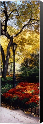 Framed Lamppost in a park, Central Park, Manhattan, New York City, New York, USA Print