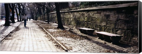 Framed Rear view of a woman walking on a walkway, Central Park, Manhattan, New York City, New York, USA Print