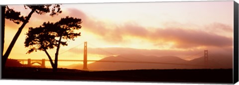 Framed Silhouette of trees at sunset, Golden Gate Bridge, San Francisco, California, USA Print