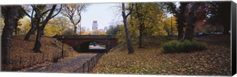 Framed Bridge in a park, Central Park, Manhattan, New York City, New York State, USA Print