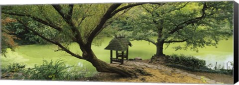 Framed Trees near a pond, Central Park, Manhattan, New York City, New York State, USA Print