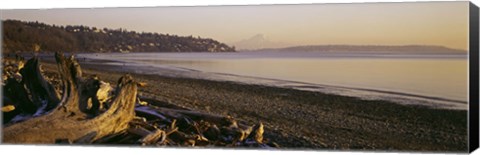 Framed Driftwood on the beach, Discovery Park, Mt Rainier, Seattle, King County, Washington State, USA Print