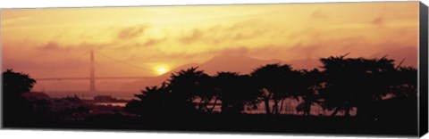 Framed Silhouette of trees at dusk with a bridge in the background, Golden Gate Bridge, San Francisco, California, USA Print