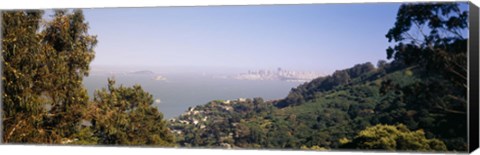 Framed Trees on a hill, Sausalito, San Francisco Bay, Marin County, California Print