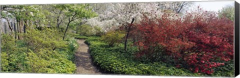 Framed Trees in a garden, Garden of Eden, Ladew Topiary Gardens, Monkton, Baltimore County, Maryland, USA Print