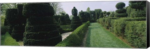 Framed Sculptures formed from trees and plants in a garden, Ladew Topiary Gardens, Monkton, Baltimore County, Maryland, USA Print