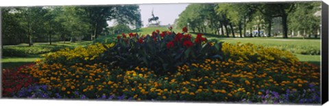 Framed Flowers in a park, Grant Park, Chicago, Cook County, Illinois, USA Print