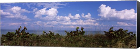 Framed Tampa Bay, Gulf Of Mexico, Anna Maria Island, Florida Print