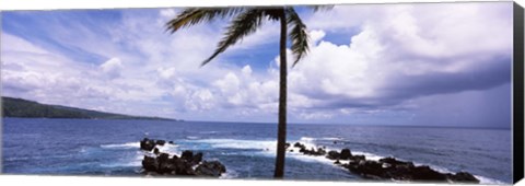 Framed Palm tree on the coast, Honolulu Nui Bay, Nahiku, Maui, Hawaii, USA Print