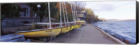 Framed Sailboats in a row, University of Wisconsin, Madison, Dane County, Wisconsin, USA Print