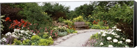 Framed Bench in a garden, Olbrich Botanical Gardens, Madison, Wisconsin, USA Print