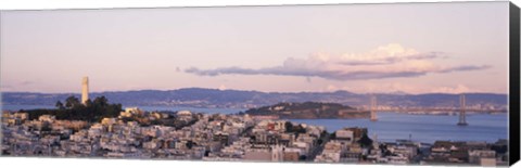 Framed High angle view of a city, Coit Tower, Telegraph Hill, San Francisco, California Print