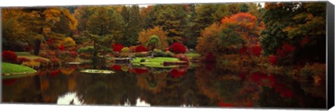 Framed Reflection of trees in water, Japanese Tea Garden, Golden Gate Park, Asian Art Museum, San Francisco, California, USA Print