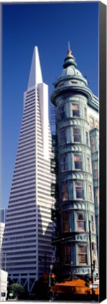 Framed Low angle view of towers, Columbus Tower, Transamerica Pyramid, San Francisco, California, USA Print