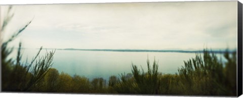 Framed Park along an inlet, Puget Sound, Discovery Park, Magnolia, Seattle, Washington State, USA Print