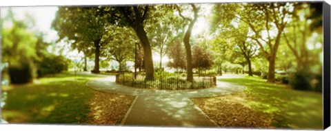 Framed Trees in a park, McCarren Park, Greenpoint, Brooklyn, New York City, New York State, USA Print