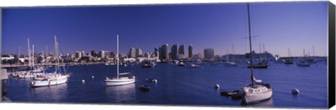 Framed Sailboats in the bay, San Diego, California, USA 2010 Print