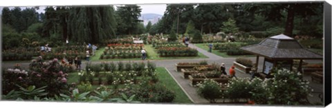 Framed Tourists in a rose garden, International Rose Test Garden, Washington Park, Portland, Multnomah County, Oregon, USA Print