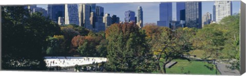 Framed Ice rink in a park, Wollman Rink, Central Park, Manhattan, New York City, New York State, USA 2010 Print