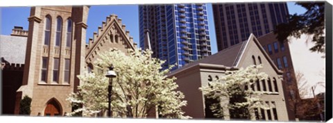 Framed Trees in front of a building, Charlotte, Mecklenburg County, North Carolina, USA Print