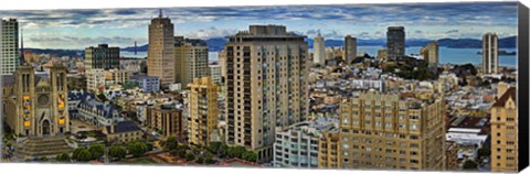 Framed Buildings in a city looking over Pacific Heights from Nob Hill, San Francisco, California, USA 2011 Print