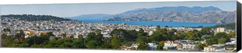 Framed High angle view of a city, Richmond District, Lincoln Park, San Francisco, California, USA Print