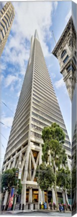 Framed Low angle view of skyscrapers, Transamerica Pyramid, San Francisco, California, USA 2011 Print
