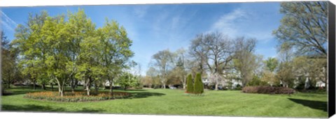 Framed Tulips with Trees at Sherwood Gardens, Baltimore, Maryland, USA Print