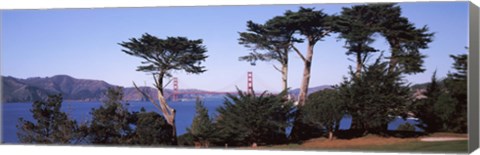 Framed Suspension bridge across a bay, Golden Gate Bridge, San Francisco Bay, San Francisco, California, USA Print