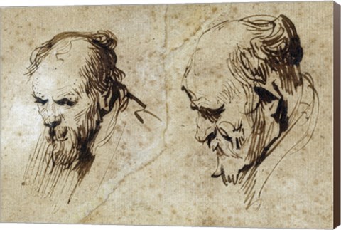 Framed Two Studies of the Head of an Old Man Print