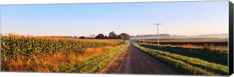 Framed Road Along Rural Cornfield, Illinois, USA Print