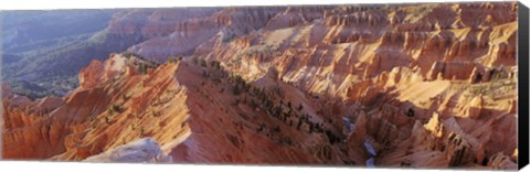 Framed Amphitheater, Cedar Breaks National Monument, Utah, USA Print